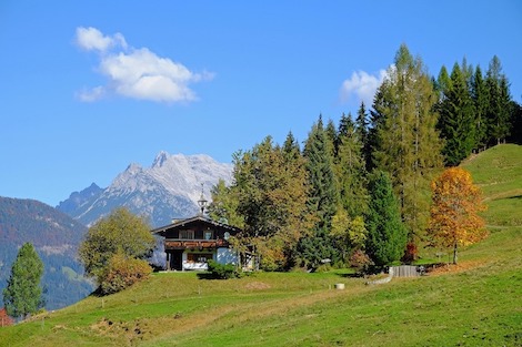 El mundo rural como una alternativa residencial, patrimonial y empresarial. La nueva vida en el campo: vivir, trabajar y emprender lejos de la ciudad. 