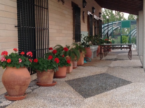 cuenca16-73288