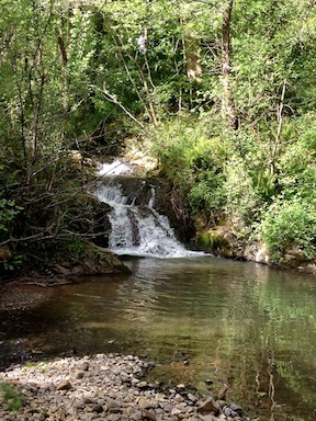GCascada